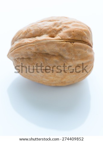Isolated walnuts on white close up