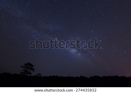 Milky way over the forest.