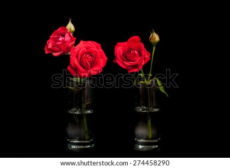 Floral background, wallpaper, greeting card image. Beautiful  red roses in glasses  on black 