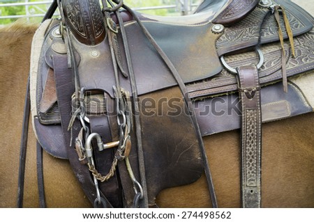Saddle for horses, detail. Color image