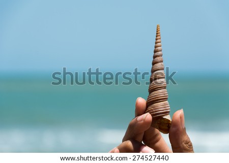Sea Shell with sea background - soft focus with film filter