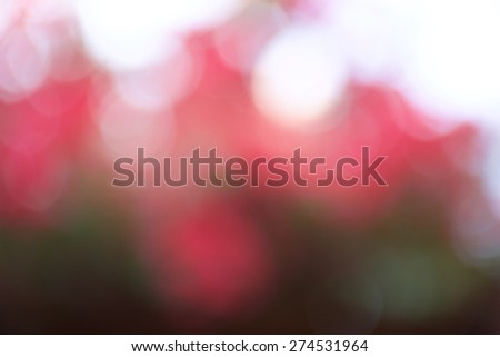 pink and green abstract blurred background with bokeh effect