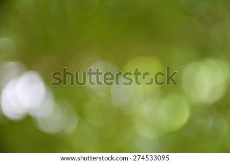 green bokeh from tree can be used as background