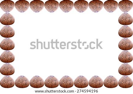 Coconut shell picture fram on white background