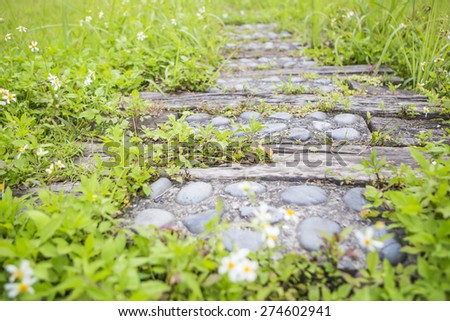 Walkway made from old wood and gravel in green grass.