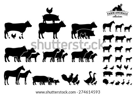 Vector Farm Animals Collection Isolated on White Royalty-Free Stock Photo #274614593