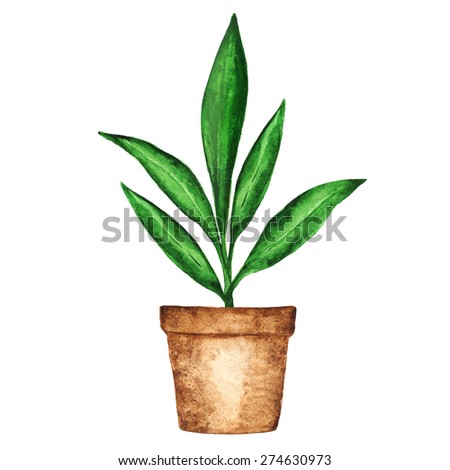 Watercolor houseplant, sprout, green leaves in flower pot closeup isolated on white background. Hand painting on paper