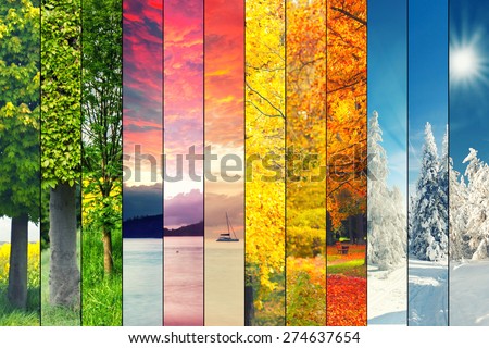 Four seasons collage, several images of beautiful natural landscapes at different time of the year, autumn, winter, spring and summer weather, planet earth life cycle concept Royalty-Free Stock Photo #274637654