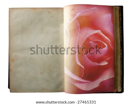 Rose printed on the pages of an open aged old book [Photo Illustration]