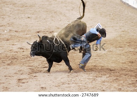 the bull riding event at a rodeo in Arizona
