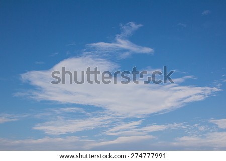 Cloud and blue sky on day time