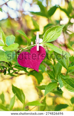 nature greeting card background - red heart on tree
