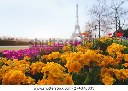 Paris in spring, yellow flowers in foreground and Eiffel tower blurred on background