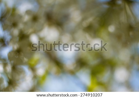 Natural green background. Natural Bokeh,blurred bokeh. Abstract nature background. Can be used for stationery, business cards, web and flyers. Unfocused image.