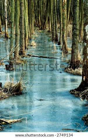 Perspective - trees on ice