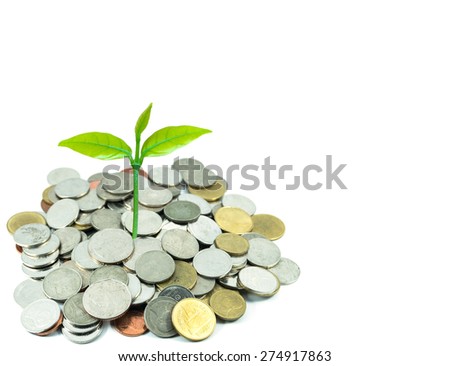 Green plant growing on money coins over white background, business and investment concept