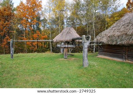 Farm animals mill - Autumn Landscape, beautiful vivid nature