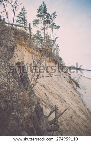 wild beach with old tree trunks and clouds over the shore - retro vintage looking effect