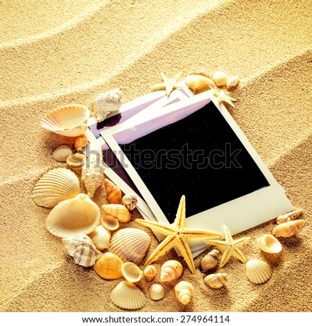 Summer like old style empty photo cards lying on a sea sand and framed with shells. Sunny summer background. Space for your text. 