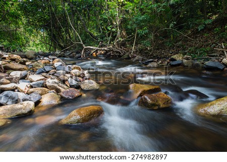 running of water stream from waterfall in tropical rain forest