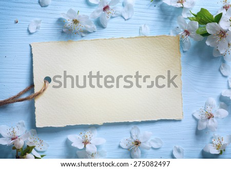 art Spring floral border background with white  blossom
