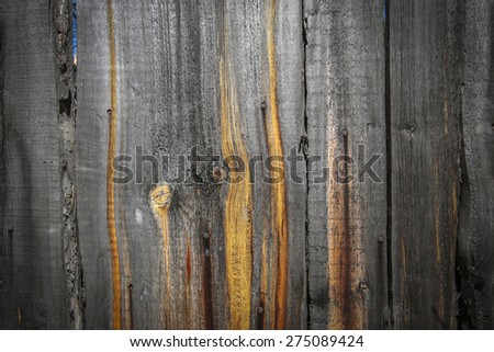 wooden background with different natural color