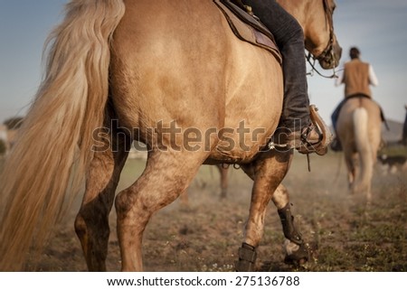 Picture of horseman riding a horse.