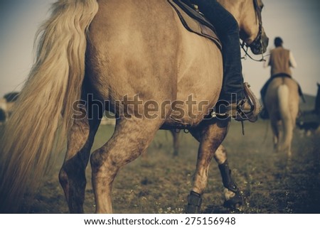 Picture of horseman riding a horse.