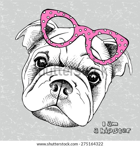 Portrait of a dog Shar Pei in a pink glasses on gray background. Vector illustration.