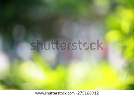 Real Light abstract background : Park concept