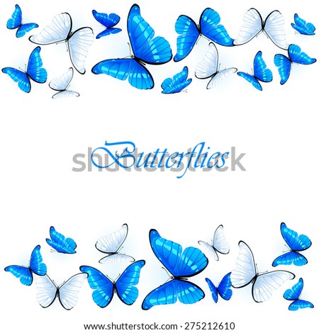 Blue and white butterflies on white background, illustration.
