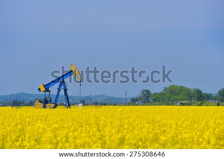 biodiesel concept (a pump jack with a canola field in background)