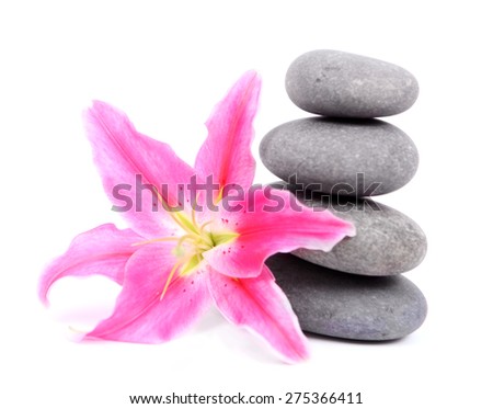 Stargazer Lily with balanced stones