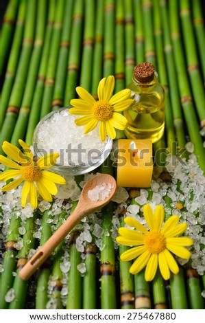 white many salt with candle, oil,spoon on bamboo grove background