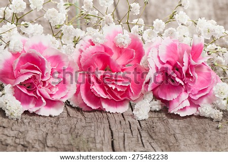Beautiful white gypsophila and pink flowers on a wooden board. Greeting card with space for text