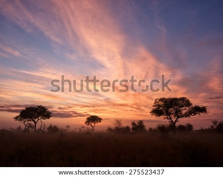 African sunrise 2