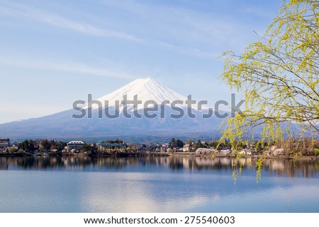 Mt Fuji at lake Kawaguchiko 