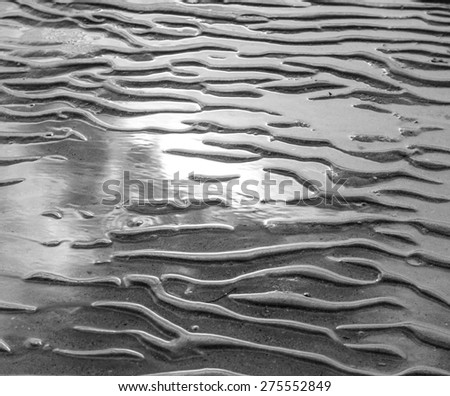 Sand beach texture background.