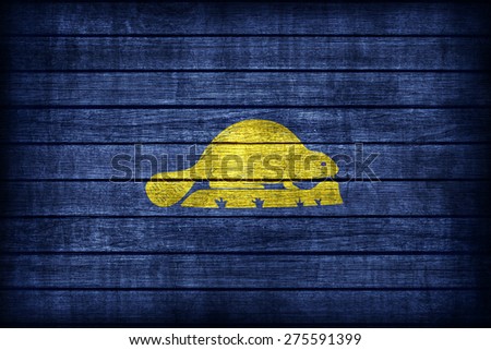 Oregon (reverse) flag pattern on wooden board texture ,retro vintage style