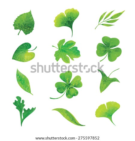 set of green watercolor leaves, hand drawn vector elements