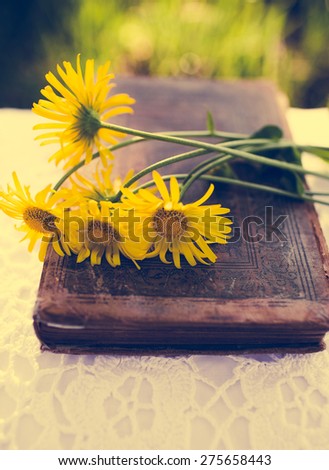 Spring flowers in a retro style. Outdoor background.
