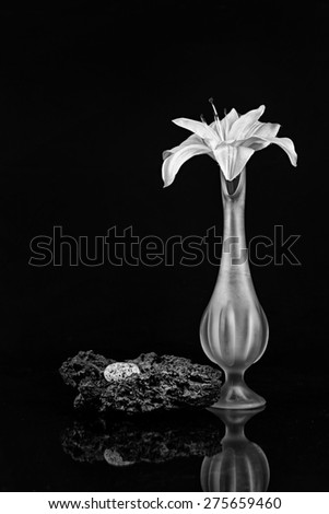 Silk Lily in a Tall Bud Vase with Granite and Lava Rock in Black and White