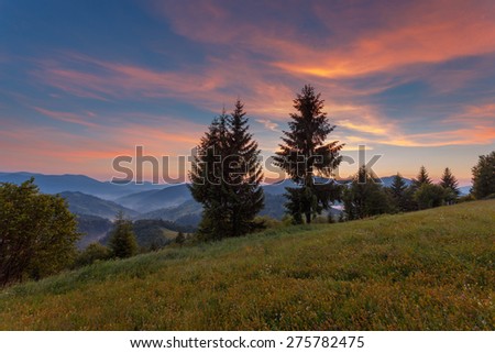 Sunset landscape with silhouettes of mountains range & spruce trees on foreground. Carpathian mountains. Ukraine.
