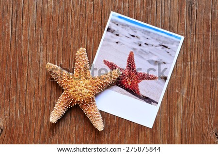 high-angle shot of a starfish and an instant photo of a starfish on the sand of a beach, placed on a rustic wooden surface