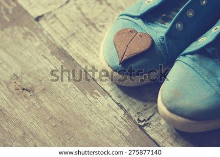 a pair of shoes on a wooden floor