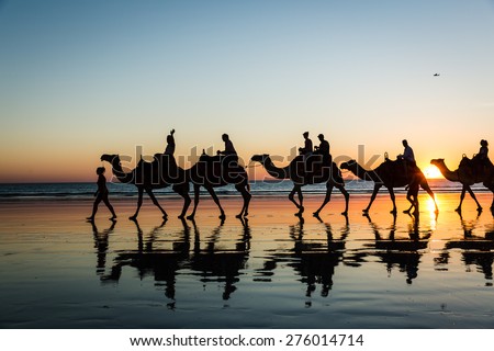 Cable Beach Camels Royalty-Free Stock Photo #276014714