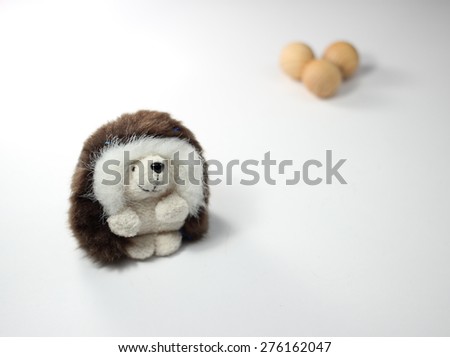 The picture of the fluffy toy hedgehog