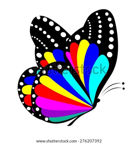 butterfly vector illustration graphics