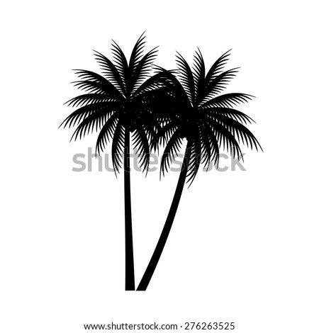 palm trees vector