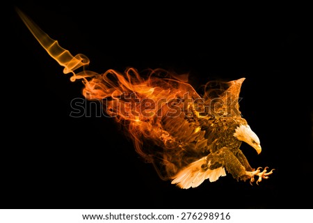 beautiful image of a bald eagle.. animal kingdom. flying bird. wildlife picture. great  tattoo.
flame wings and smoke tale. wild animal. american symbol